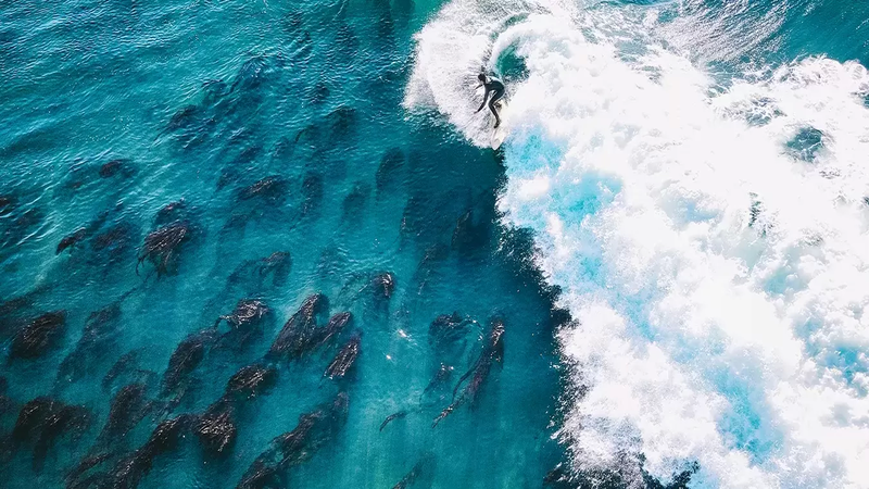 Palm State Beach Cam Visit Santa Cruz County